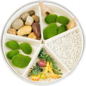 Sensory Kit - Insect