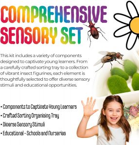 Magic Meadow Insect Sensory Kit