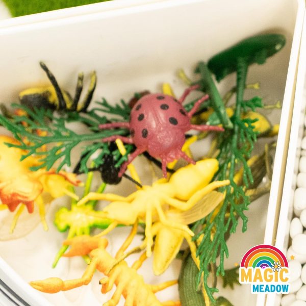 Magic Meadow Insect Sensory Kit