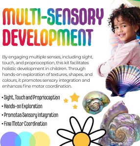 Magic Meadow Transparency Sensory Kit